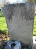 image of grave number 380577